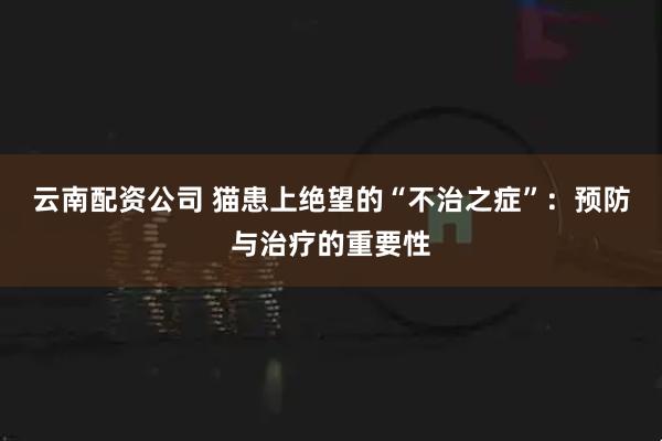 云南配资公司 猫患上绝望的“不治之症”：预防与治疗的重要性