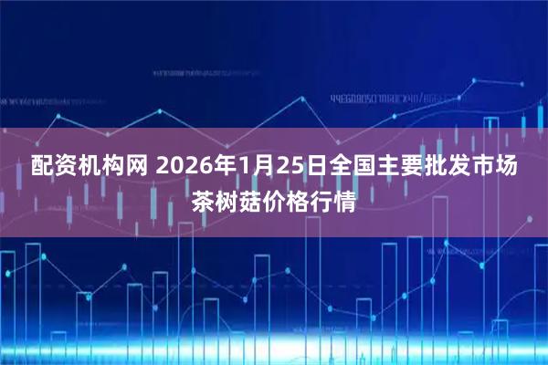 配资机构网 2026年1月25日全国主要批发市场茶树菇价格行情
