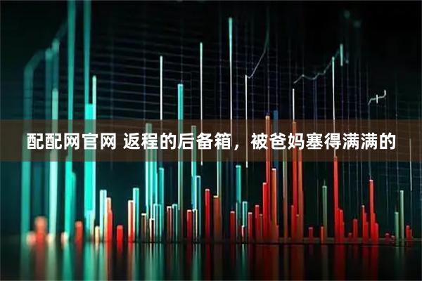 配配网官网 返程的后备箱，被爸妈塞得满满的