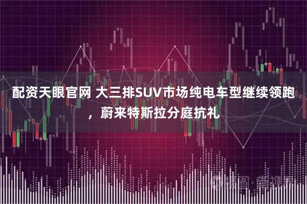 配资天眼官网 大三排SUV市场纯电车型继续领跑，蔚来特斯拉分庭抗礼