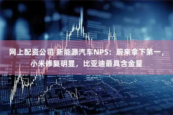 网上配资公司 新能源汽车NPS：蔚来拿下第一，小米修复明显，比亚迪最具含金量